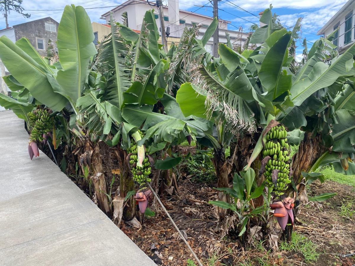 Retiro Das Bananeiras Horta  Bagian luar foto